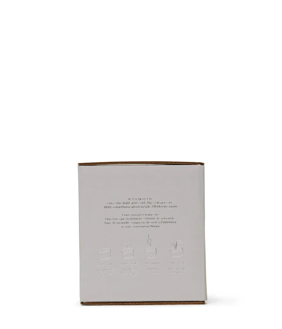 Andles | Matt & Nat Mattnat Candles Every Cloud Has A Silver Lining Soy Candle PEARLS